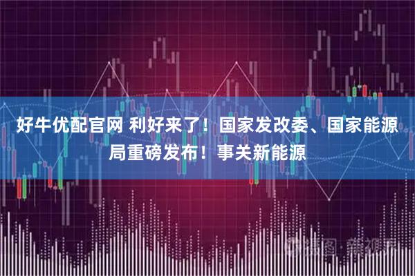 好牛优配官网 利好来了!国家发改委、国家能源局重磅发布!事关新能源