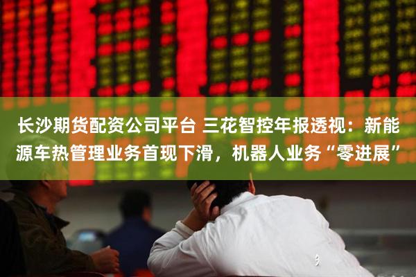 长沙期货配资公司平台 三花智控年报透视:新能源车热管理业务首现下滑,机器人业务“零进展”